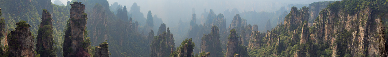 The Biogeologist